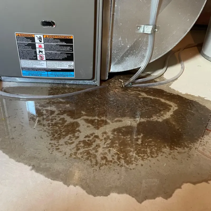 Appliance Leak Cleanup in Madison, SD